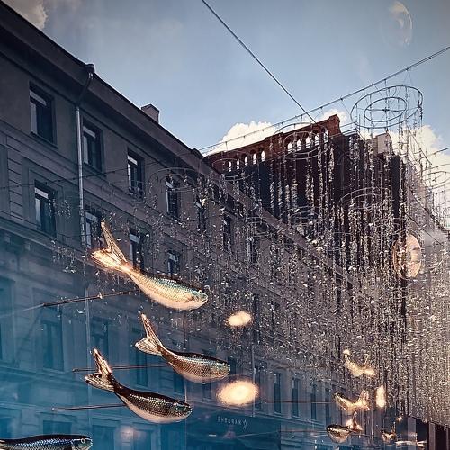Фотография #4748315