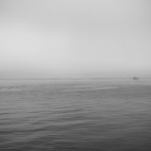 Photo #4748440