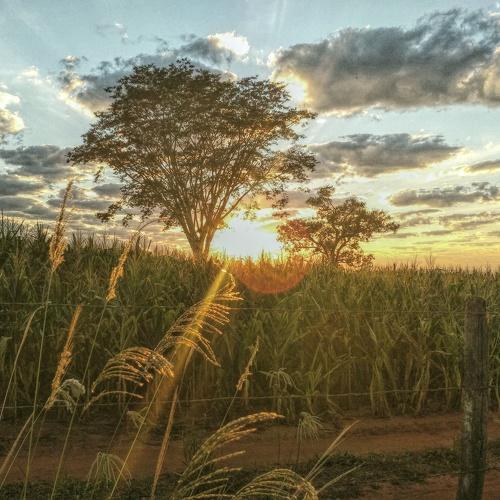 Photo #4748803
