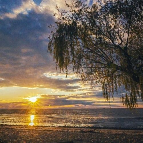 Photo #4748933