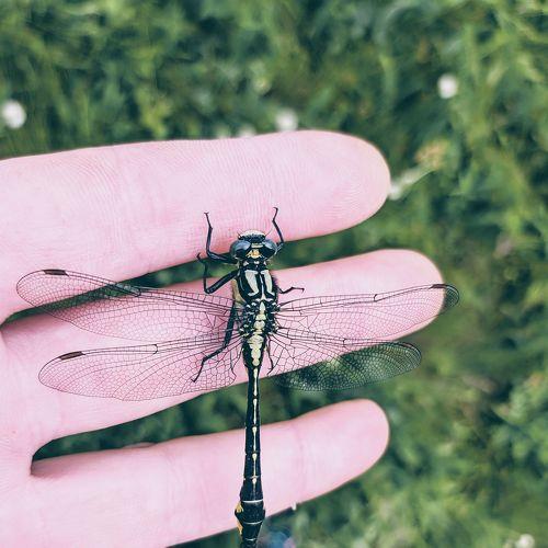 Photo #4749082