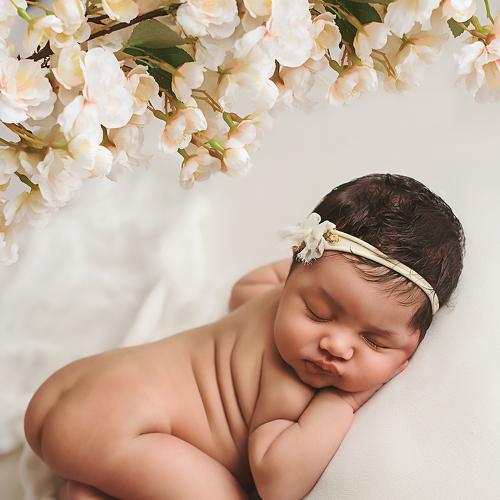 Фотография #4749090