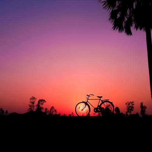 Photo #4749468