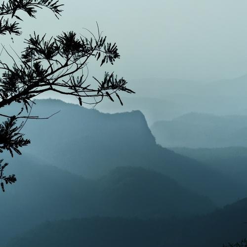 Foggy