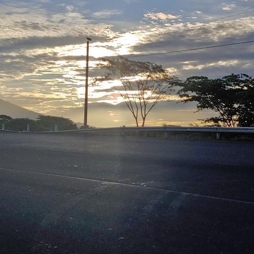 Photo #4749645