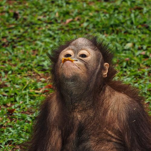 Photo #4749803
