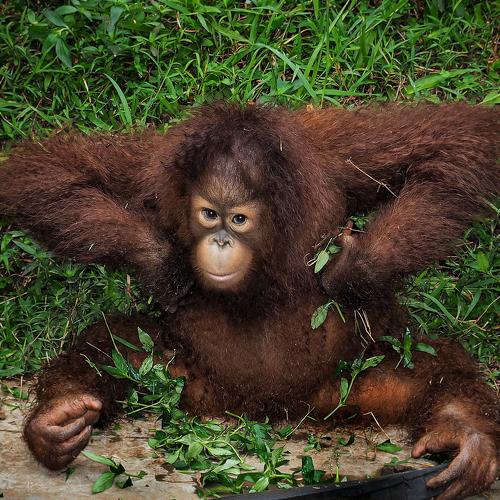 Photo #4749805