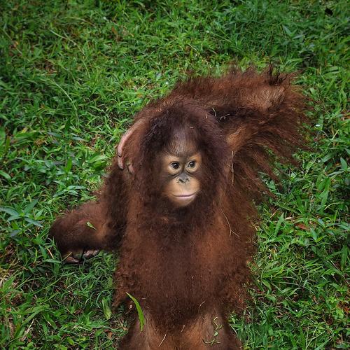 Photo #4749806