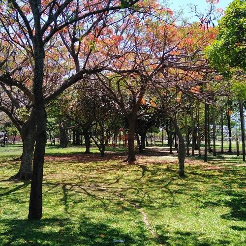 Photo #4750015