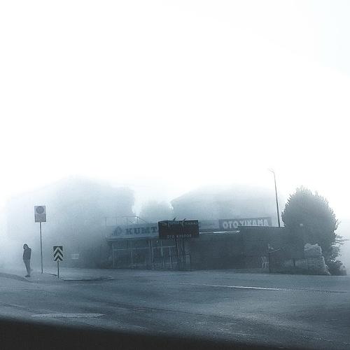 Man in the Fog