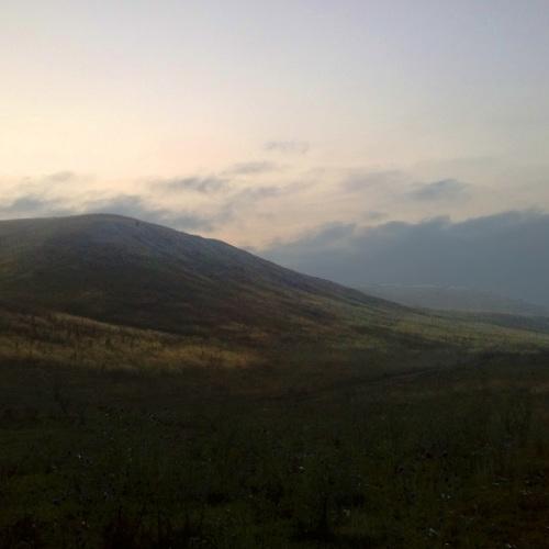 Photo #4750582