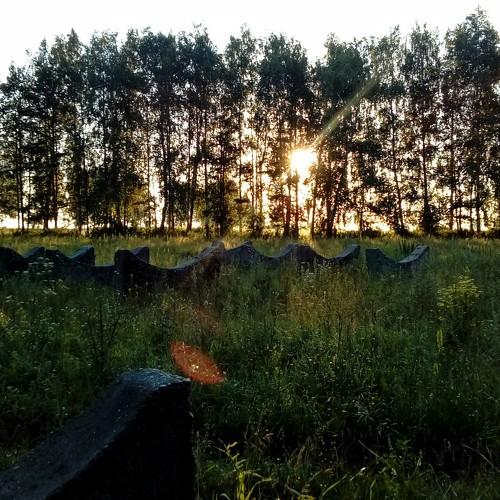 Photo #4750588