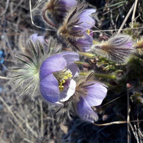 Photo #4750907