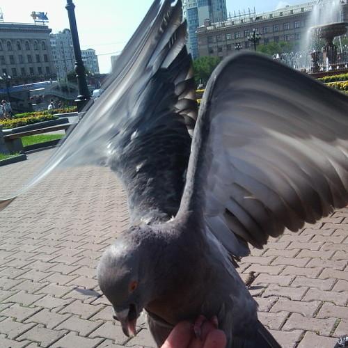 Photo #4750912