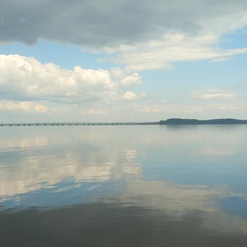 Берег Японского моря