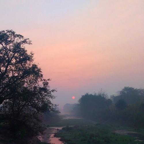 The morning light!