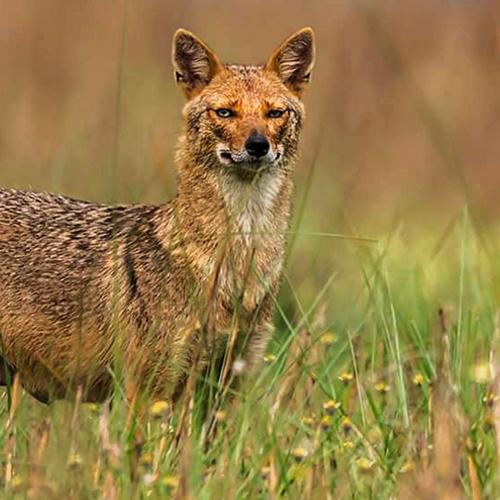 Photo #4751854