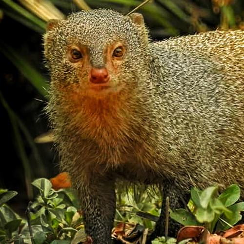 Photo #4751855