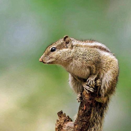 Photo #4751857