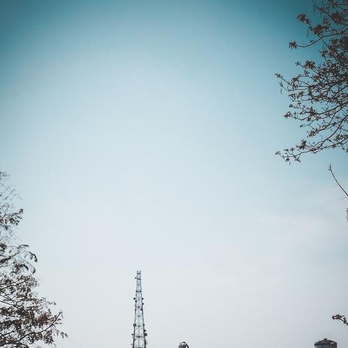 Photo #4752085