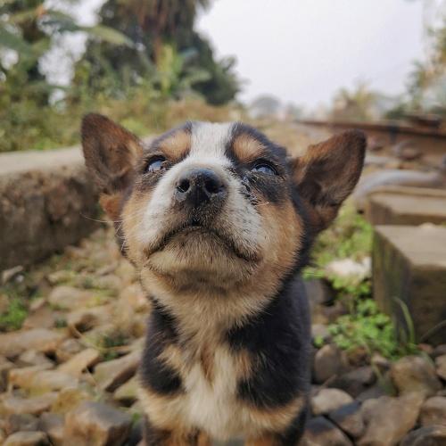 Photo #4752119