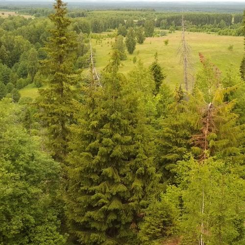 В пути к озеру