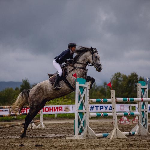 Photo #4752829