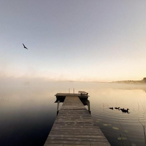 Photo #4753034