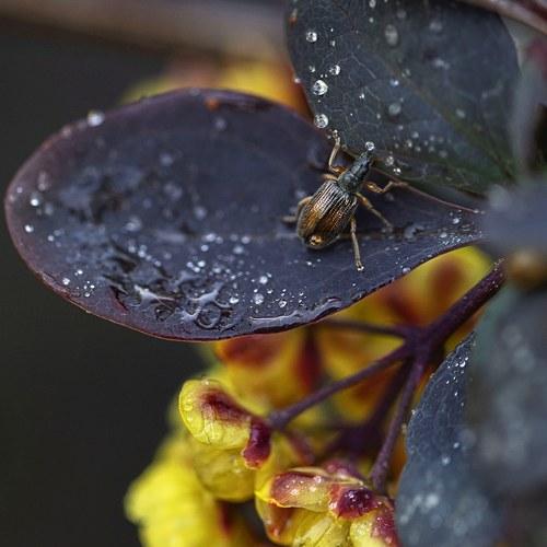 Photo #4753039