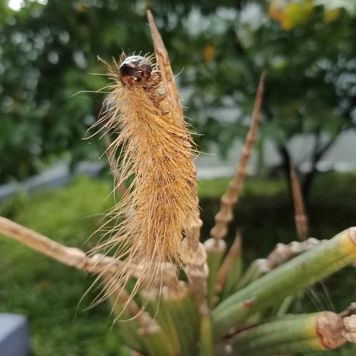 Photo #4753205