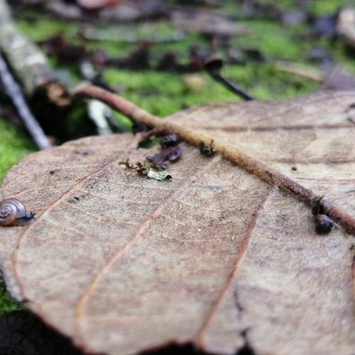Photo #4753306