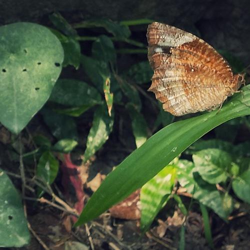 Photo #4753518