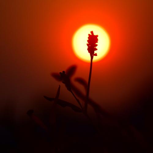 Photo #4753523
