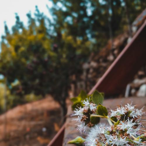 Photo #4753909