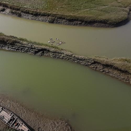 Photo #4754760