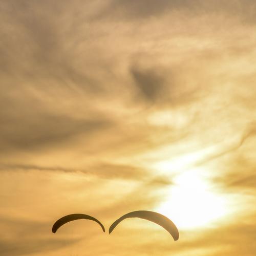 Photo #4754840