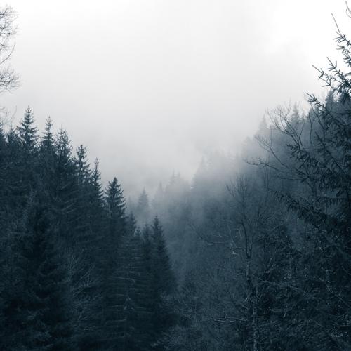 Photo #4754980