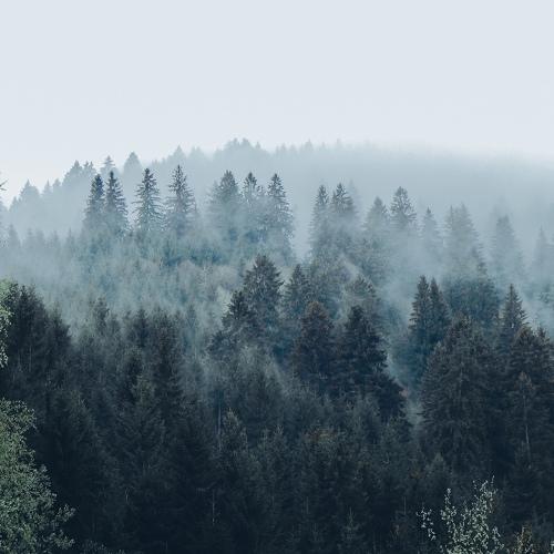 Photo #4754981