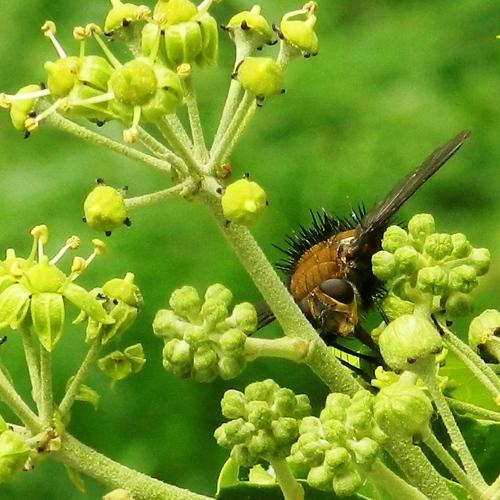 Photo #4755446