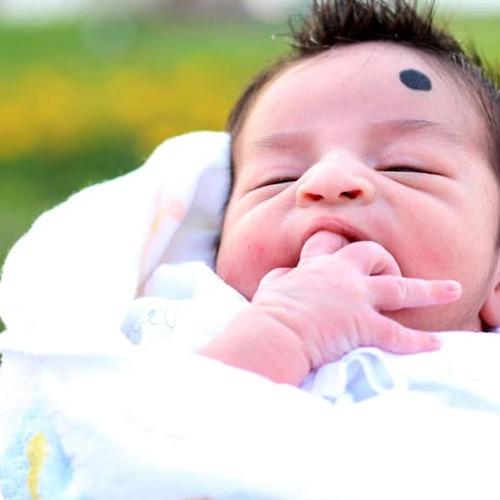 Photo #4755462