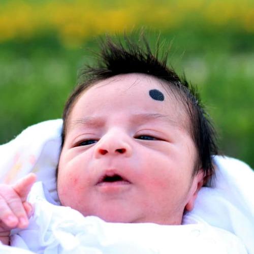 Photo #4755467