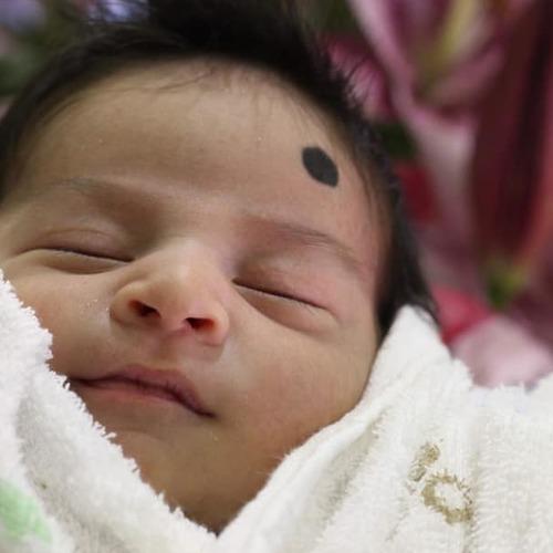 Photo #4755471
