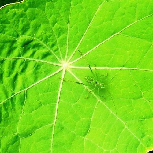 Photo #4755489
