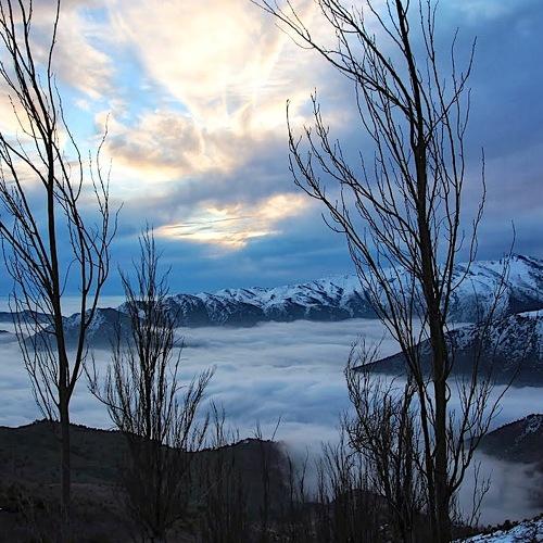 Photo #4755498