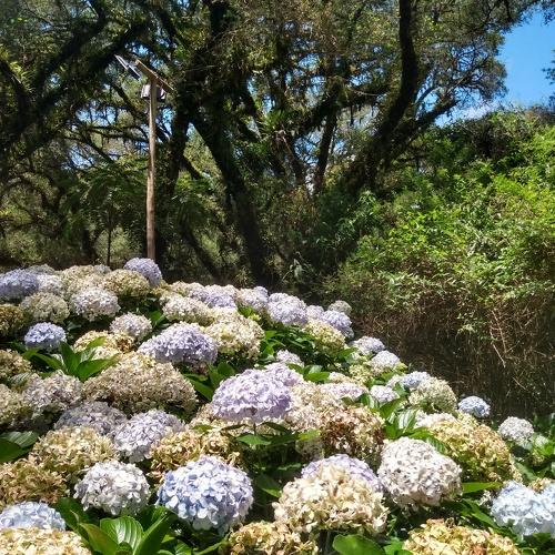 Photo #4755558