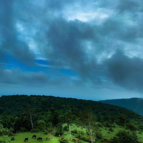 Photo #4755567