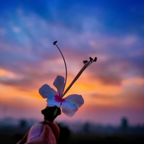 Photo #4755772