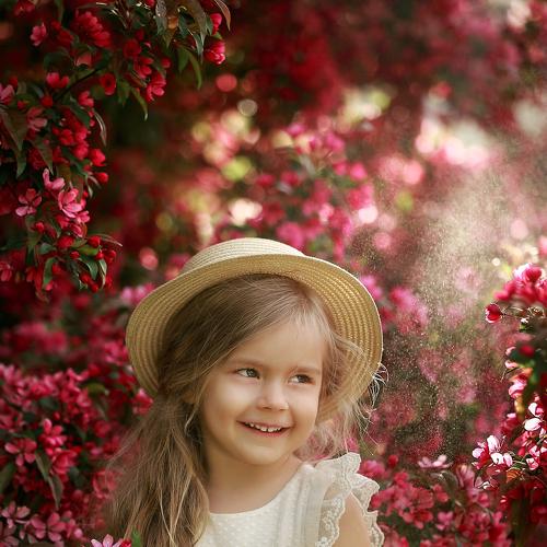 Photo #4756106