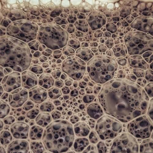 Photo #4756541