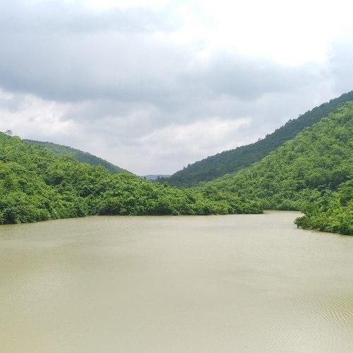 Photo #4756612